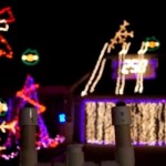 angry-birds-natal